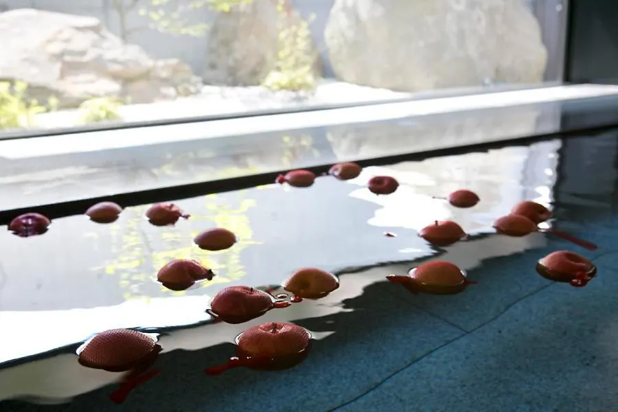 Horohoro Sanso Hotel Date  3*, Date (Hokkaido) Japan